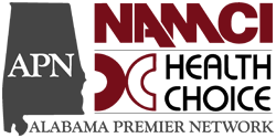 APN Logo